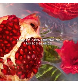 Aqua Allegoria Granada Salvia - Eau de Toilette Aqua Allegoria Granada Salvia - Eau de Toilette